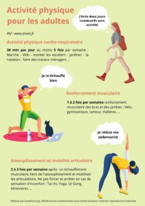 L'activité physique de l'adulte