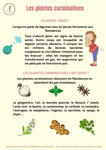 Nutrition  : Les féculents